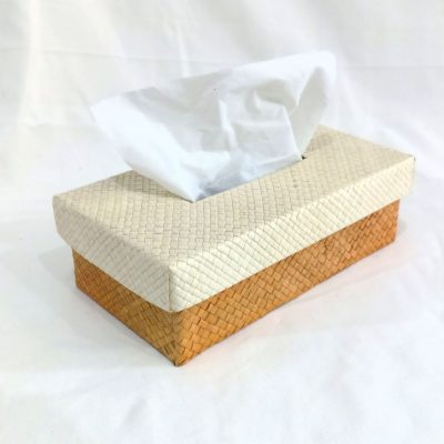 photo_2024-01-27_14-43-25